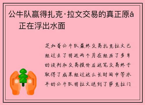 公牛队赢得扎克·拉文交易的真正原因正在浮出水面